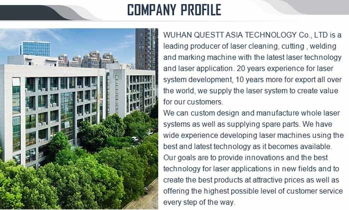 La Cina Wuhan Questt ASIA Technology Co., Ltd. Profilo Aziendale